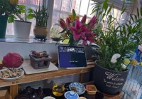 宅家无聊？隔离期间和妈妈玩这些，轻松打发时间还能增进感情！