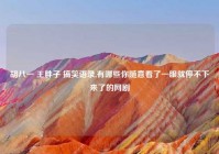 胡八一 王胖子 搞笑语录,有哪些你随意看了一眼就停不下来了的网剧