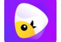 想找与外国人视频交流的软件？这几个值得收藏！