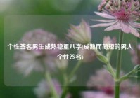 个性签名男生成熟稳重八字(成熟而简短的男人个性签名)