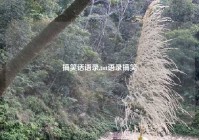 搞笑话语录,tnt语录搞笑