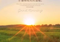 个性签名励志阳光(请大佬们分享一下自己的收藏如何)