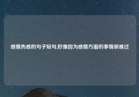 感情伤感的句子短句,好像因为感情方面的事情很难过