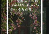 情感心情短语大全：让你一秒释放内心情绪