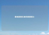 奏响孤独乐章的独奏骑士