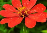 野花社区最新免费高清