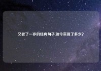 又老了一岁的经典句子,如今实现了多少？