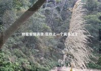 甜蜜爱情语录(喜欢上一个离异女生)