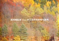 混沌崛起免 steam 补丁背后的探索与思考