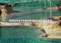 伤感短句关于失落心情,很好的哥们都离职走