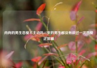 内向的男生恋爱不主动吗,27岁的男生都没有谈过一次恋爱正常嘛