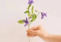 最火情感文案(特殊寓意爱情文案)