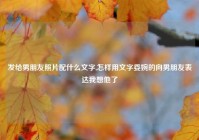 发给男朋友照片配什么文字,怎样用文字委婉的向男朋友表达我想他了