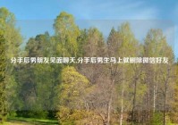 分手后男朋友见面聊天,分手后男生马上就删除微信好友