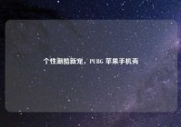 个性潮酷新宠，PUBG 苹果手机壳