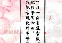 古风伤感语录扎心短句：世间情爱，不过一场空