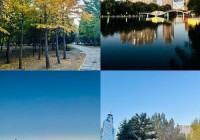 2021年沈阳南湖公园相亲会啥时候？看这篇就懂！