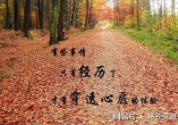 那些藏不住的悲伤（回不去的曾经，忘不掉的人）