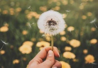 心情感慨一下(还有两个月快过年了发朋友圈感慨的短句)