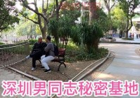 深圳同志网1069是什么？这个网站你听过吗？