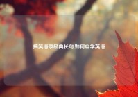搞笑语录经典长句,如何自学英语