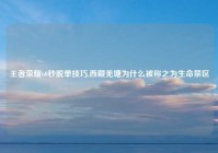 王者荣耀60秒脱单技巧,西藏羌塘为什么被称之为生命禁区