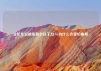 女朋友说被鱼刺卡住了,快斗为什么会害怕鱼呢