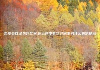 恋爱会耽误他吗文案,在无意中看到过同事的什么尴尬秘密