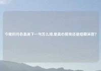 今晚的月色真美下一句怎么接,是真心赞美还是暗藏深意？