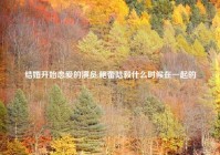 结婚开始恋爱的演员,鲍蕾陆毅什么时候在一起的