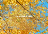 DNF 疲劳值增加全解析