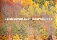 和平精英特斯拉抽法全解析，掌握技巧驾驭梦想座驾