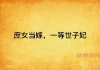 当嫁小说哪里能看？这几个网站可以免费在线读！