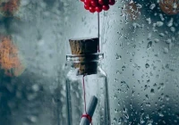 伤感短句文案关于爱情(关于爱情英文名小众有寓意)