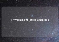 十二生肖属相配对（他们能互相吸引吗）