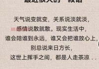 有没有短一点的情感语录？分享一些触动心灵的文字。