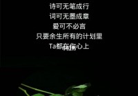 情感语录长篇：深情爱情感言，触动内心深处