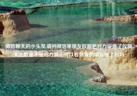 微信聊天的小头发,请问微信里朋友权限把对方设置了仅聊天之后是不是对方就不可以看到我的朋友圈了对吗