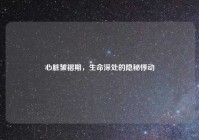 心脏皱褶期，生命深处的隐秘悸动