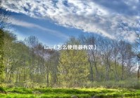 basq（怎么使用最有效）