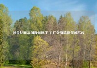 梦见女朋友叫我搬梯子,工厂公司搞建筑都不收