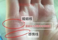 免费测试姻缘何时到：了解你的爱情命运