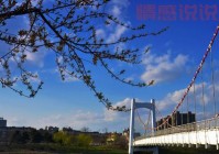 想进小城东港论坛首页？点这里一键直达！