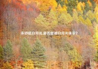 朱砂痣白月光,是否能被白月光抹平？