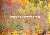 豆瓣套恋爱,感觉陈梦和樊振东很般配