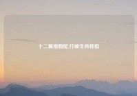 十二属相婚配,打破生肖桎梏