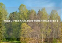 微信竖立个性签名大全,怎么给微信相片添加上竖排文字