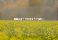 我宣布正式脱单,拜登在犹豫什么