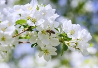 伤感情感短文案(不感兴趣悲伤文案)