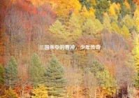 三国杀中的曹冲，少年传奇